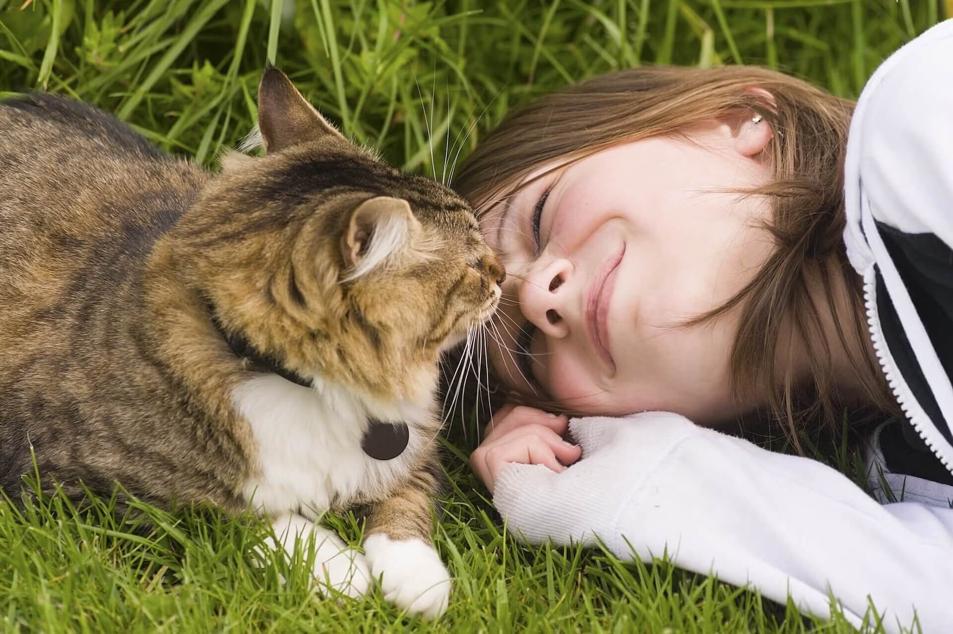 Arvada Veterinary Hospital Slider